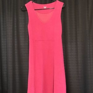 Horny Toad light purple